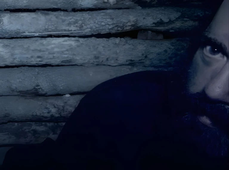 Survive the Hollow Shoals (2018) Cover Image