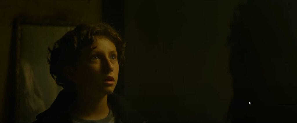 Slapface trailer cover