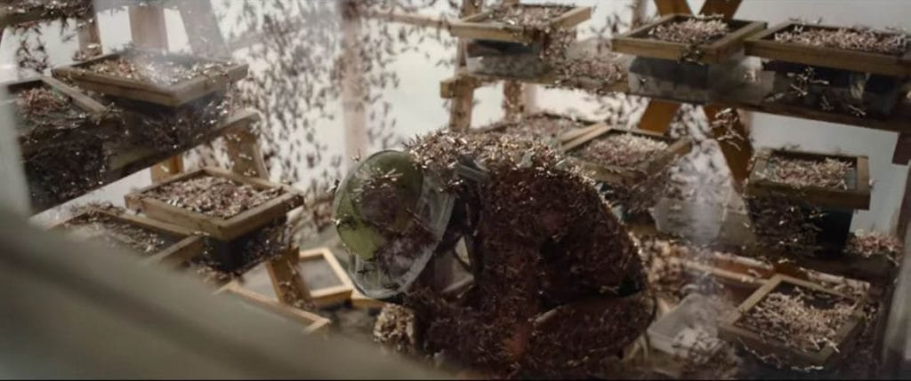 Virginie - The Swarm Ending Explained