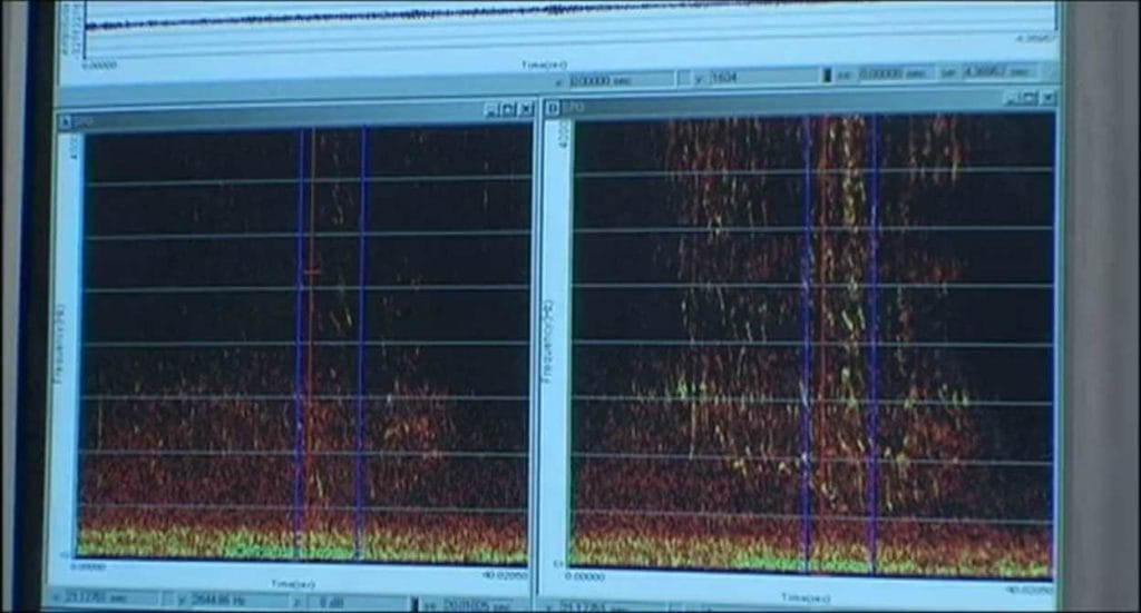 Noroi: The Curse Review