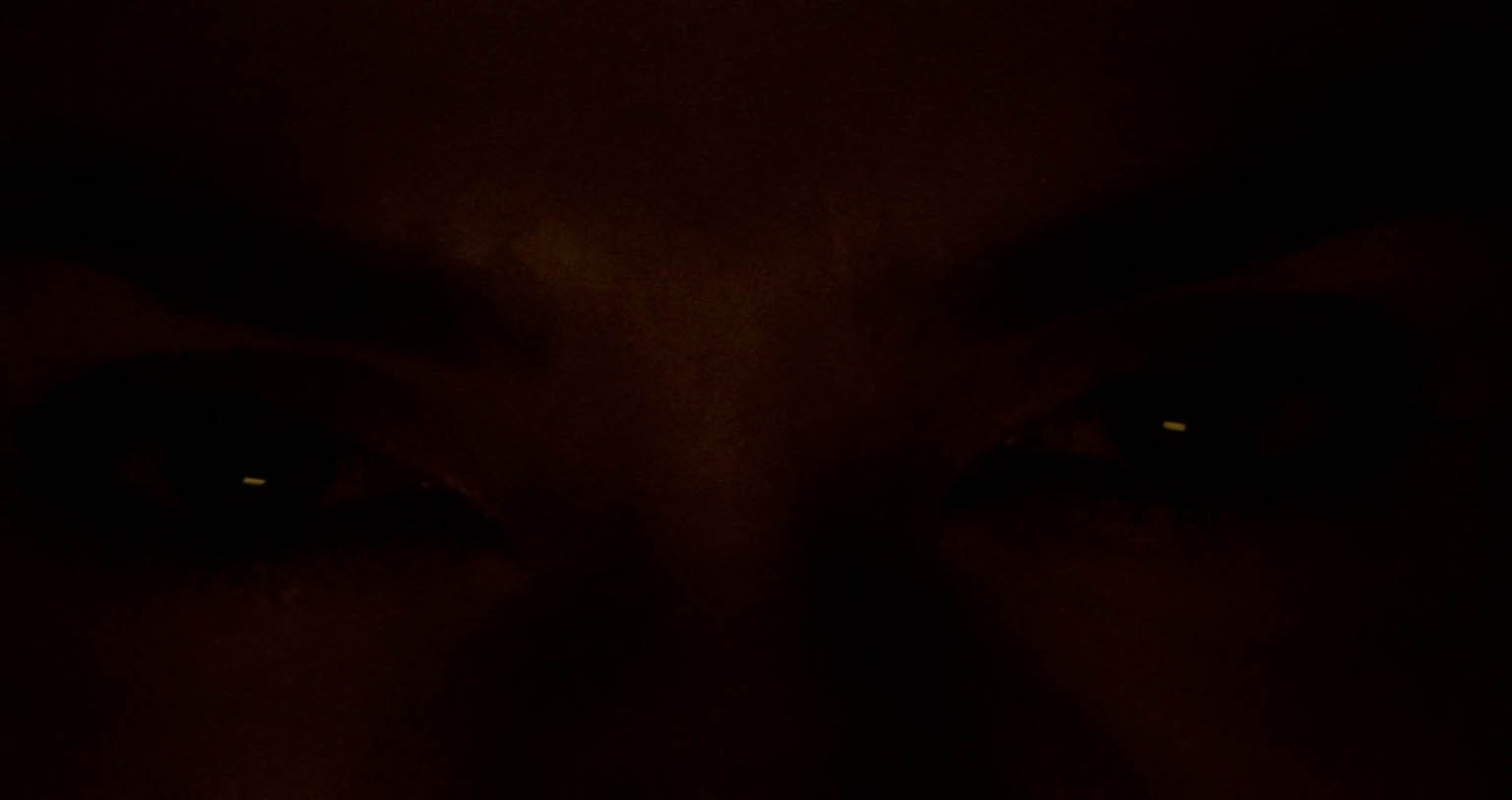 Inside (2007) Horror Movie Review