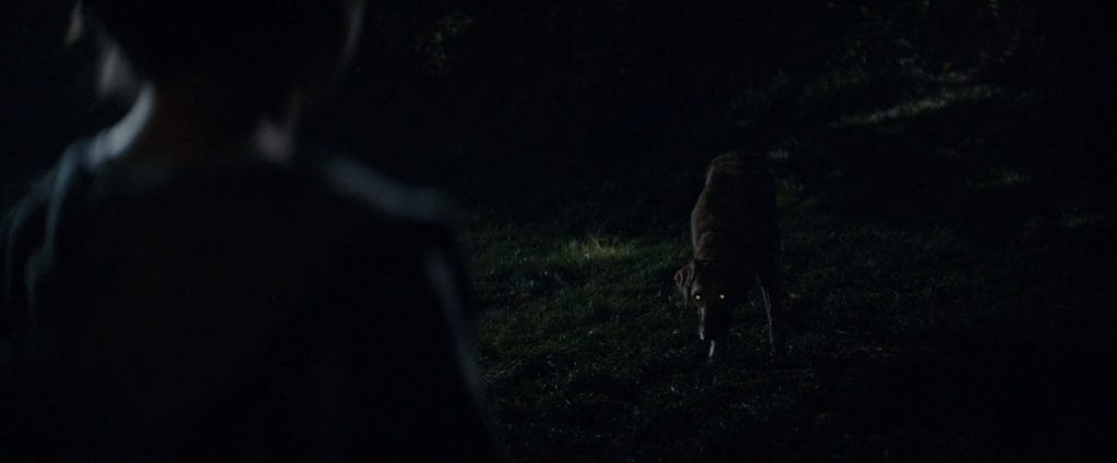 Blood Horror Movie Review