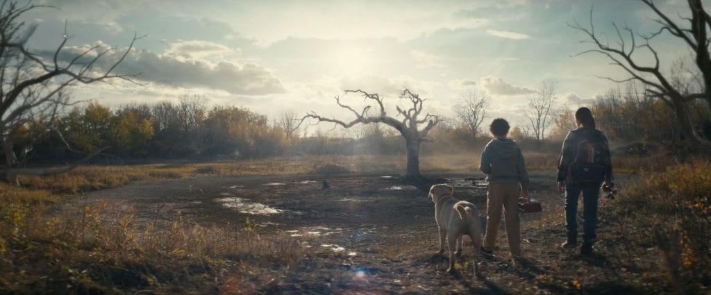 Blood Horror Movie Review