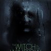 The Witch In The Window Horror Movie Review
