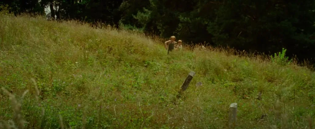 Goodnight Mommy (2014) Movie Review