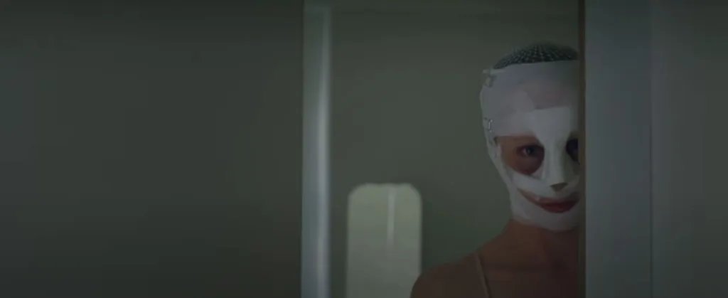 Goodnight Mommy (2014) Movie Review