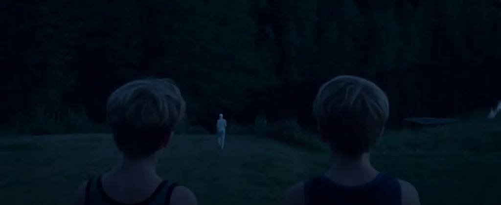 Goodnight Mommy (2014) Movie Review