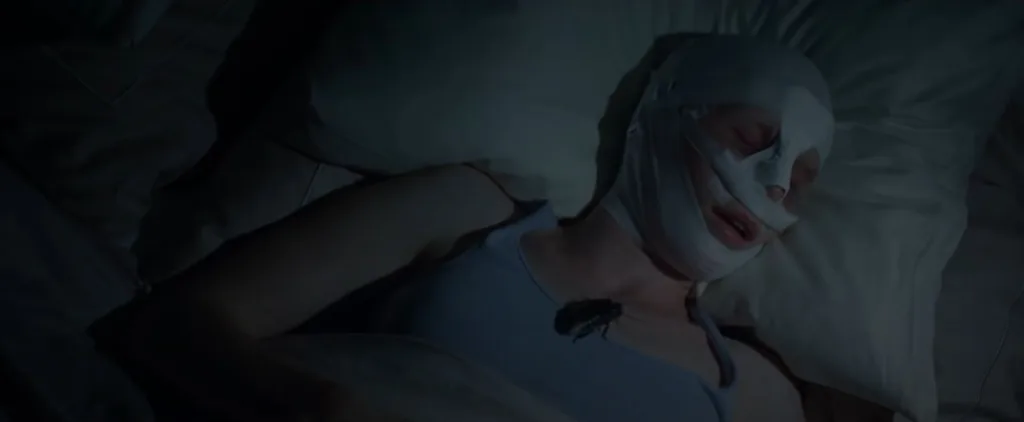 Goodnight Mommy (2014) Movie Review