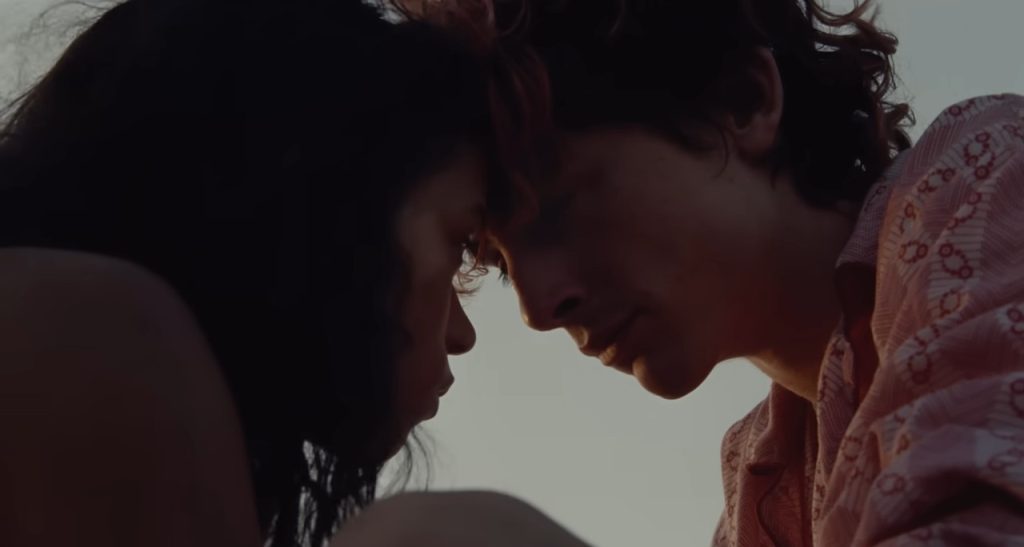 Bones and All (2022) - 10 Romantic Horror Movies Perfect For Valentine's Day Viewing
