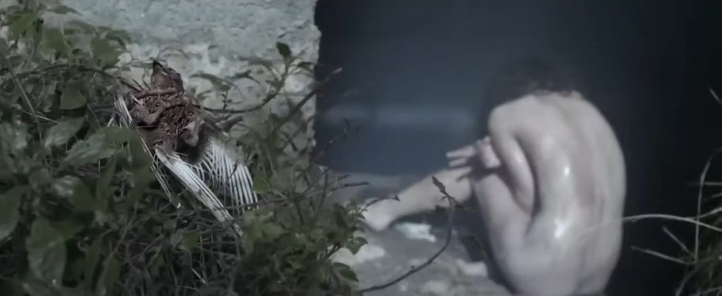 10 Romantic Horror Movies Perfect For Valentine's Day Viewing