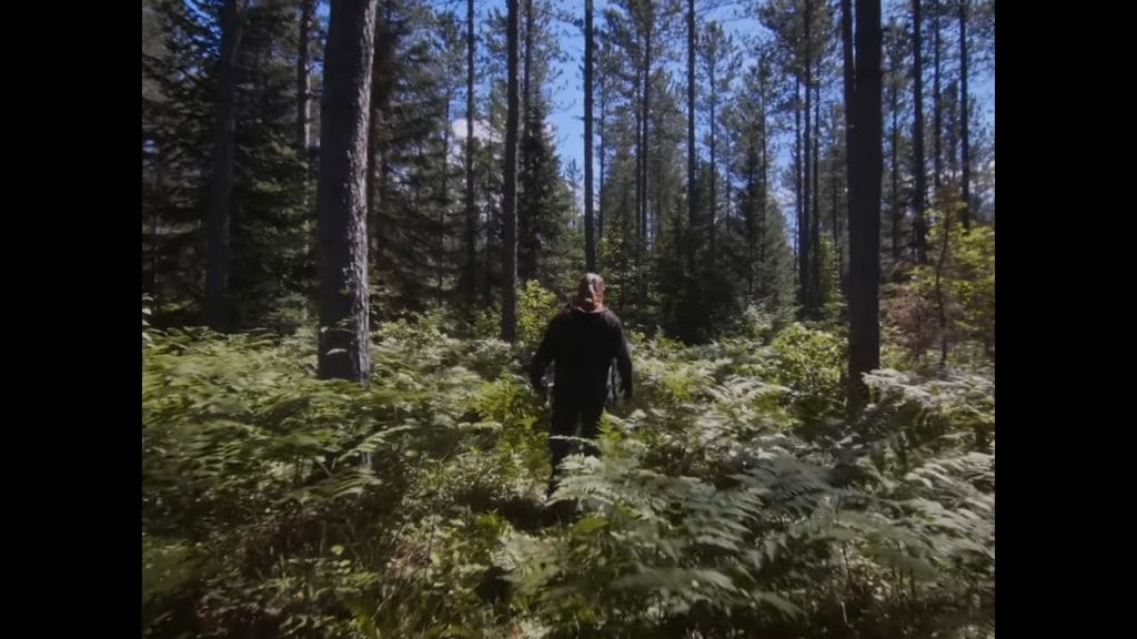 A screenshot from Shudder Original Slasher Movie In a Violent Nature 2024)