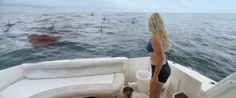 A screenshot from shark themed horror movie Great White Waters (2025)