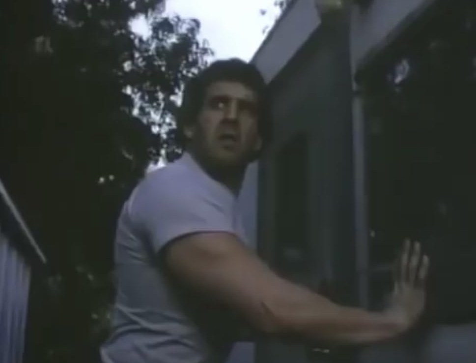A screenshot from thanksgiving themed horror movie Home Sweet Home (1981)