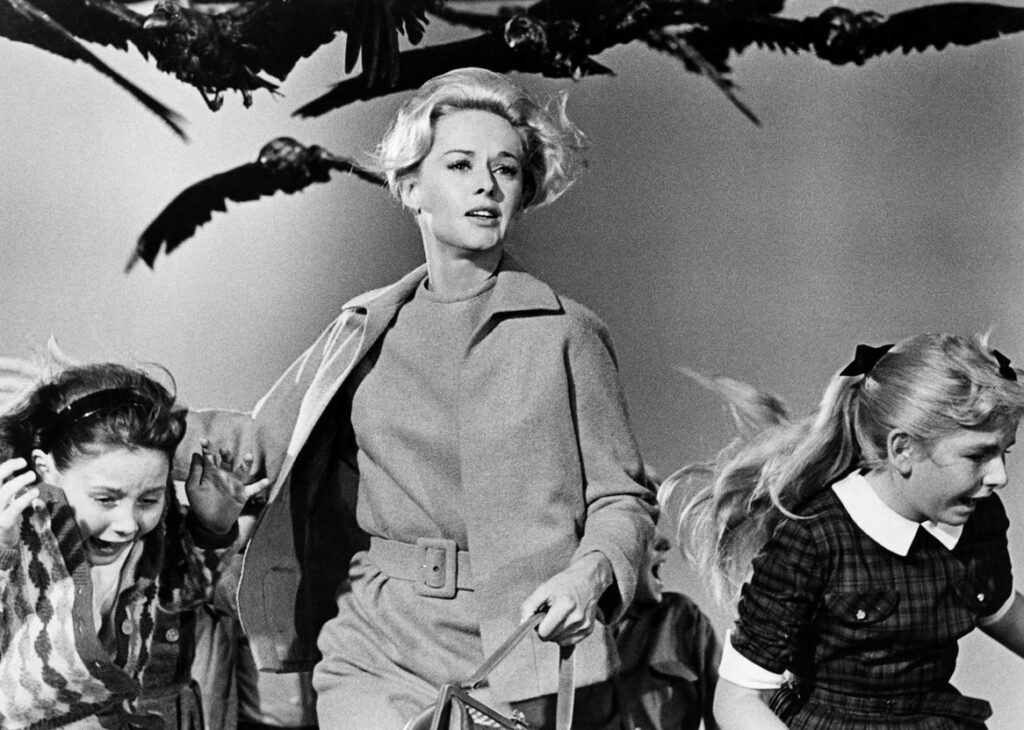 A screenshot from classic horror, thriller, The Birds (1963)