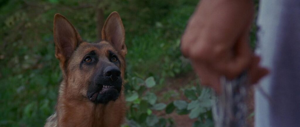 A screenshot from dog themed Werewolf horror movie Bad Moon (1996)