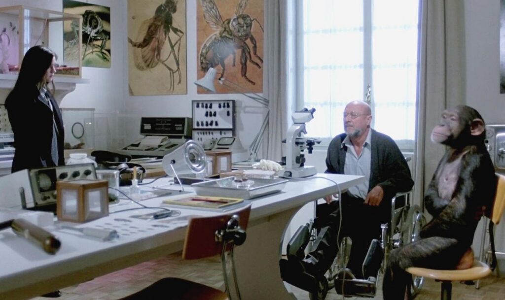 A screenshot from Chimp themed horror movie Phenomena (1985)