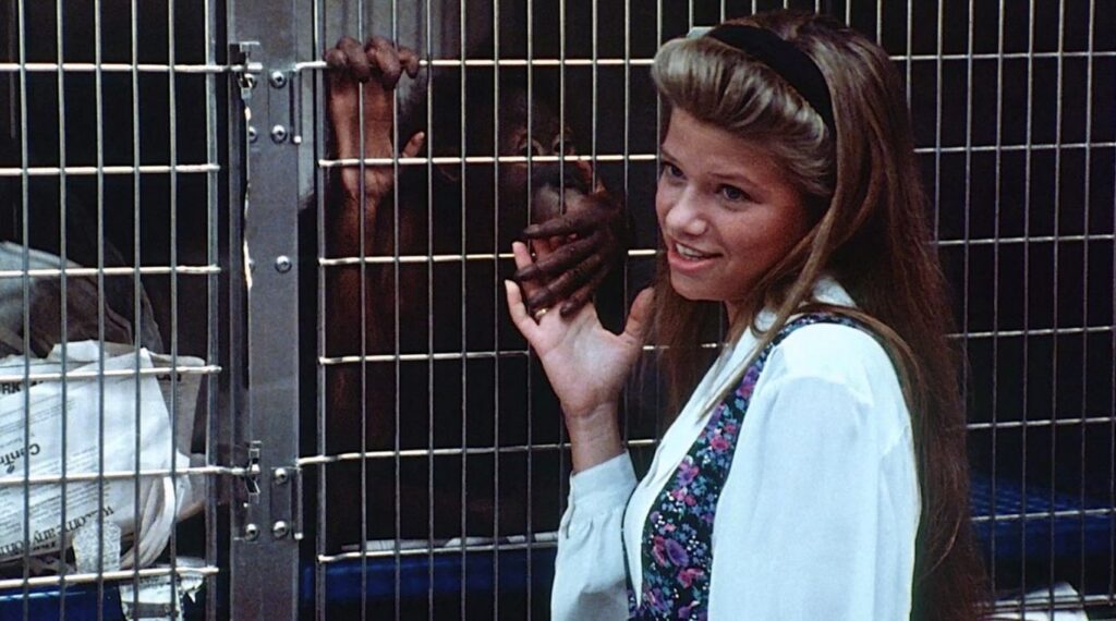 A screenshot from Chimp themed horror movie Shakma (1990)