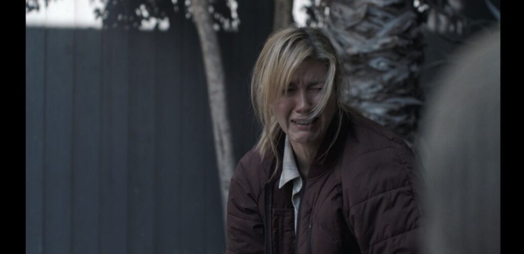 A screenshot from Hulu thriller movie The Hand That Rocks The Cradle (2025)