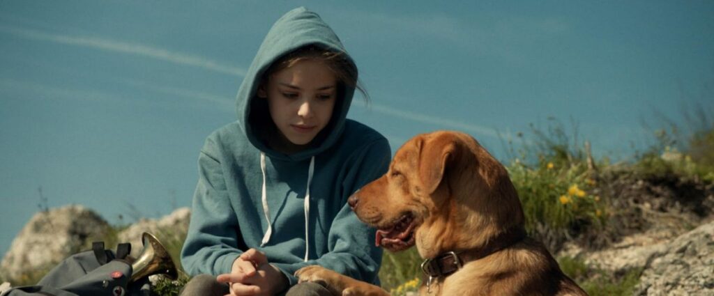 A screenshot from dog themed horror movie White God (2014)