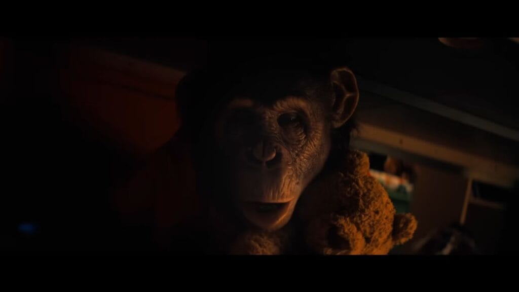 A close-up of Ben the chimp peering through the darkness in Primate (2025).