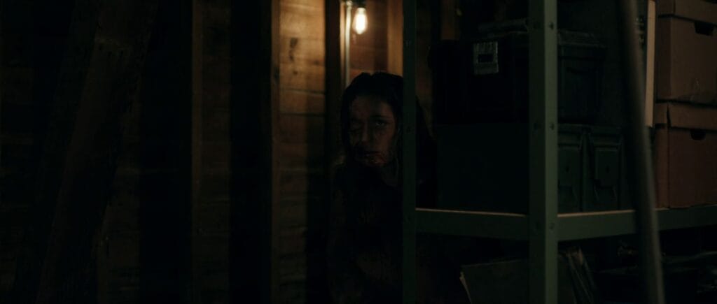 A blood-covered Ellie peeks out from the shadows behind a storage shelf in a dark, wooden attic or basement.