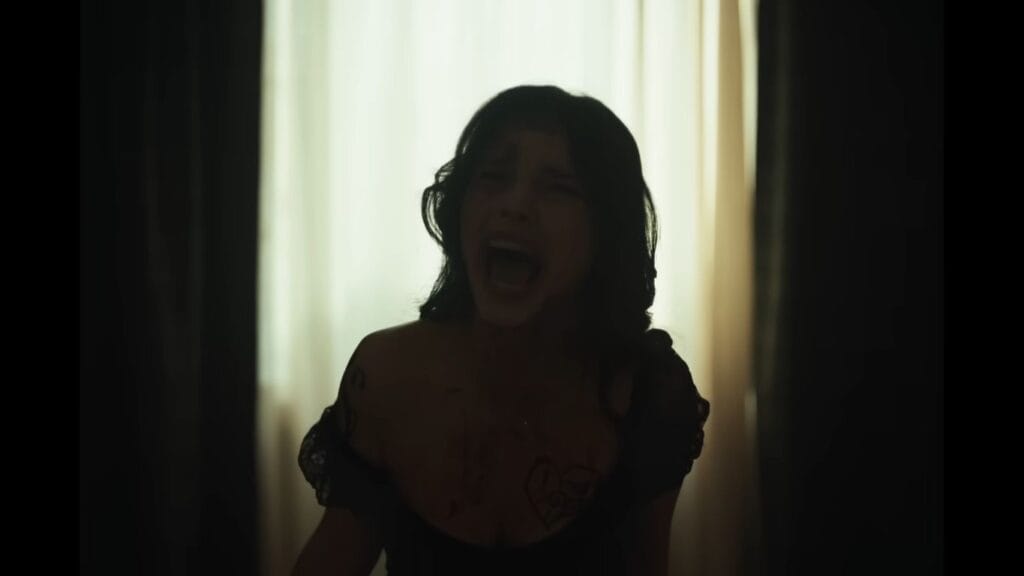 A dramatic, backlit silhouette of a woman screaming hysterically against a bright window frame in a scene from Obsession.