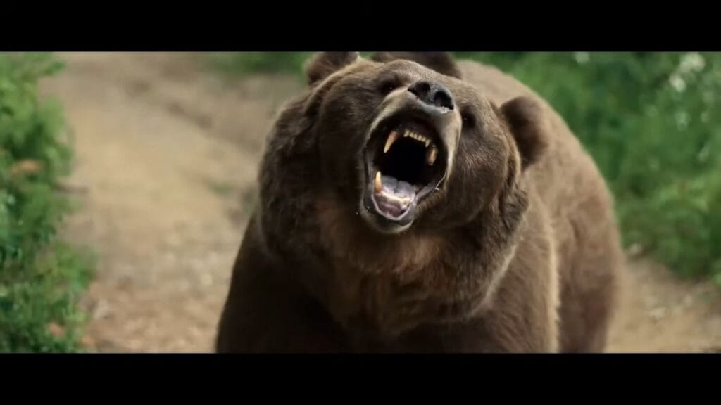 A terrifying close-up shot of a massive real grizzly bear charging forward on a dirt trail with its jaws wide open to reveal sharp teeth in Grizzly Night.