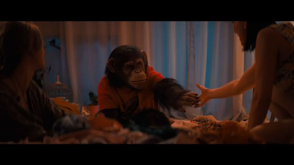 Ben the chimpanzee wearing an orange t-shirt and reaching out a hand toward a woman in a room lit with soft blue and warm lighting in Primate.