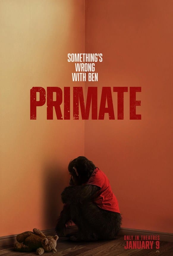 Official movie poster for the killer animal horror film Primate featuring Ben the chimp crouching in a corner next to a teddy bear under the tagline Something's Wrong with Ben.