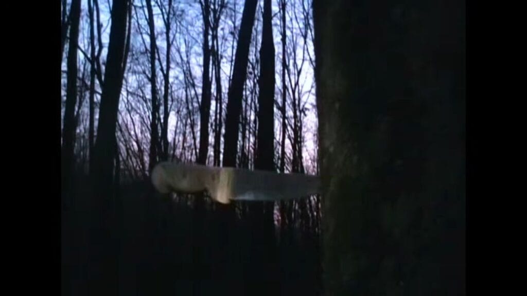 A close-up shot of a knife stuck into the trunk of a tree in a dark, barren woodland in Tinsman Road.